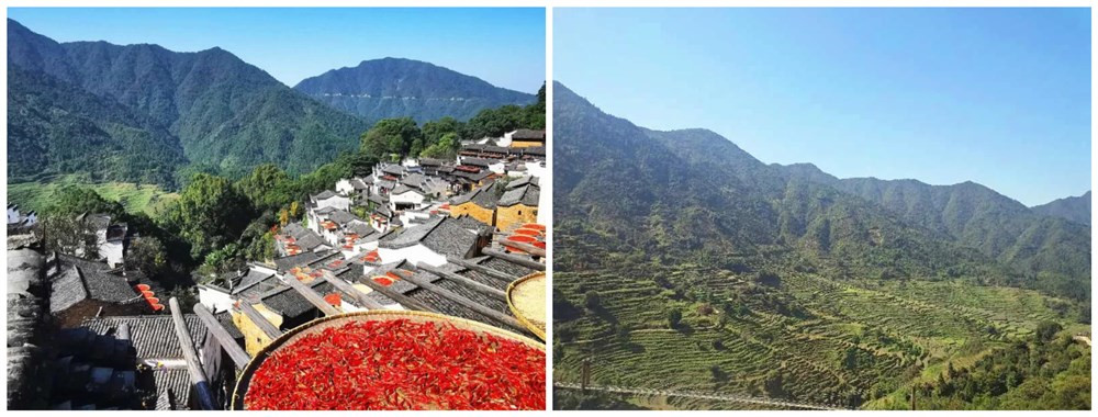 �F(tu��n)��֮��ح�����ˣ�һ������Ԋ�c�h(yu��n)��(�D1)